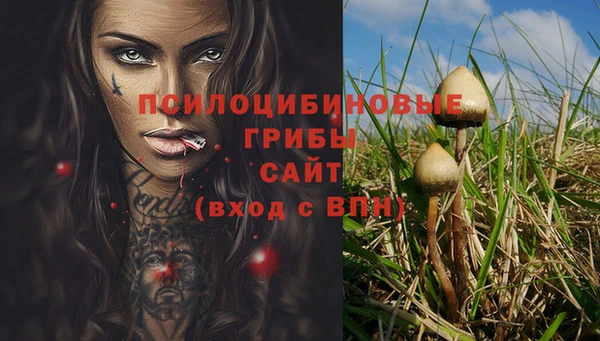 ГАЛЛЮЦИНОГЕННЫЕ ГРИБЫ Михайловск