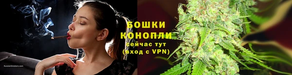 ГАЛЛЮЦИНОГЕННЫЕ ГРИБЫ Михайловск