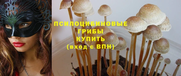 ГАЛЛЮЦИНОГЕННЫЕ ГРИБЫ Михайловск