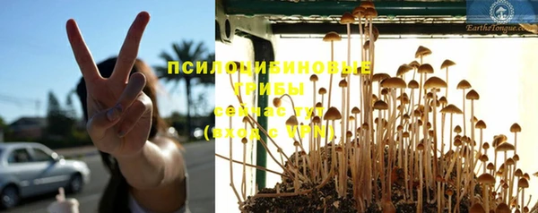 герыч Михайловка