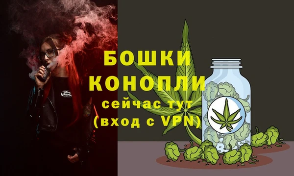 ГАЛЛЮЦИНОГЕННЫЕ ГРИБЫ Михайловск